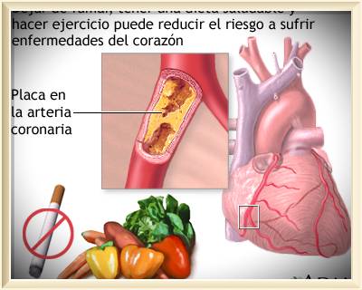el cigarrillo aumenta la presion arterial